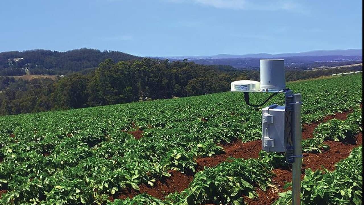 A CropLogic sensor in a field