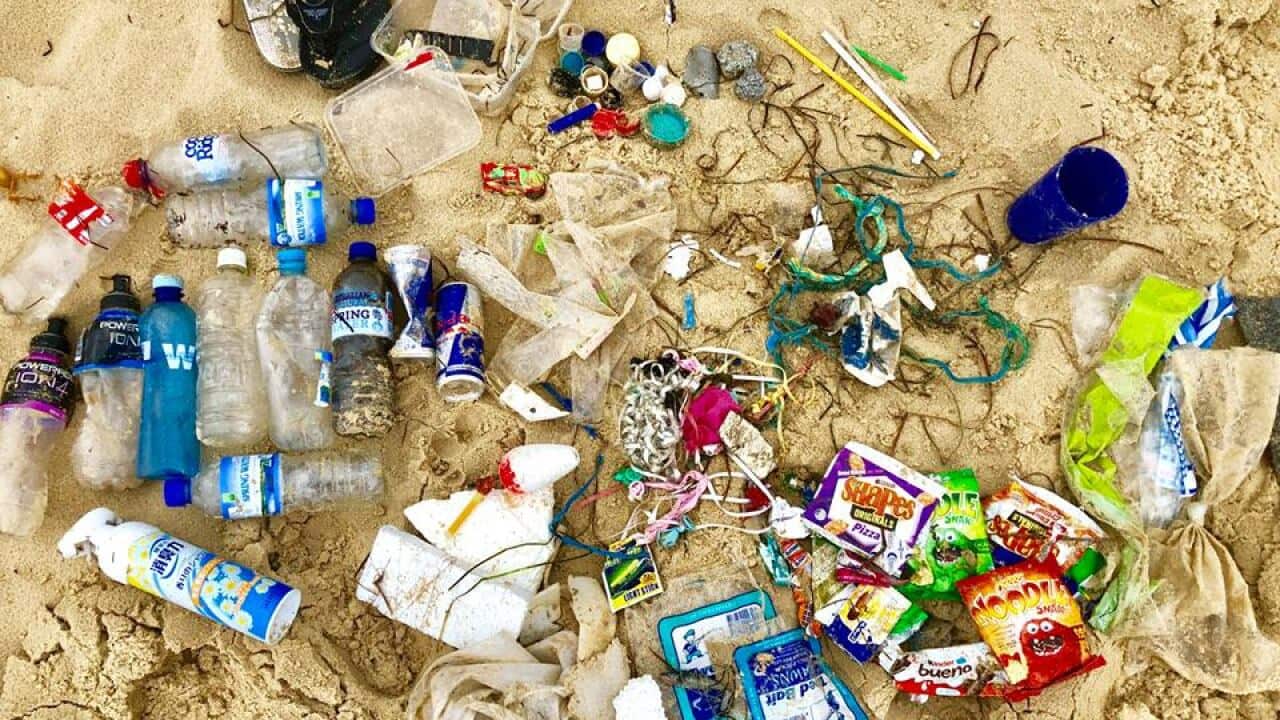 Plastic items found on Port Kembla beach