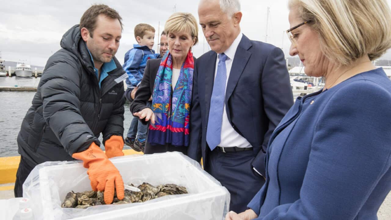 Malcolm Turnbull looks at Tasmanian oysters on the Hobart waterfront