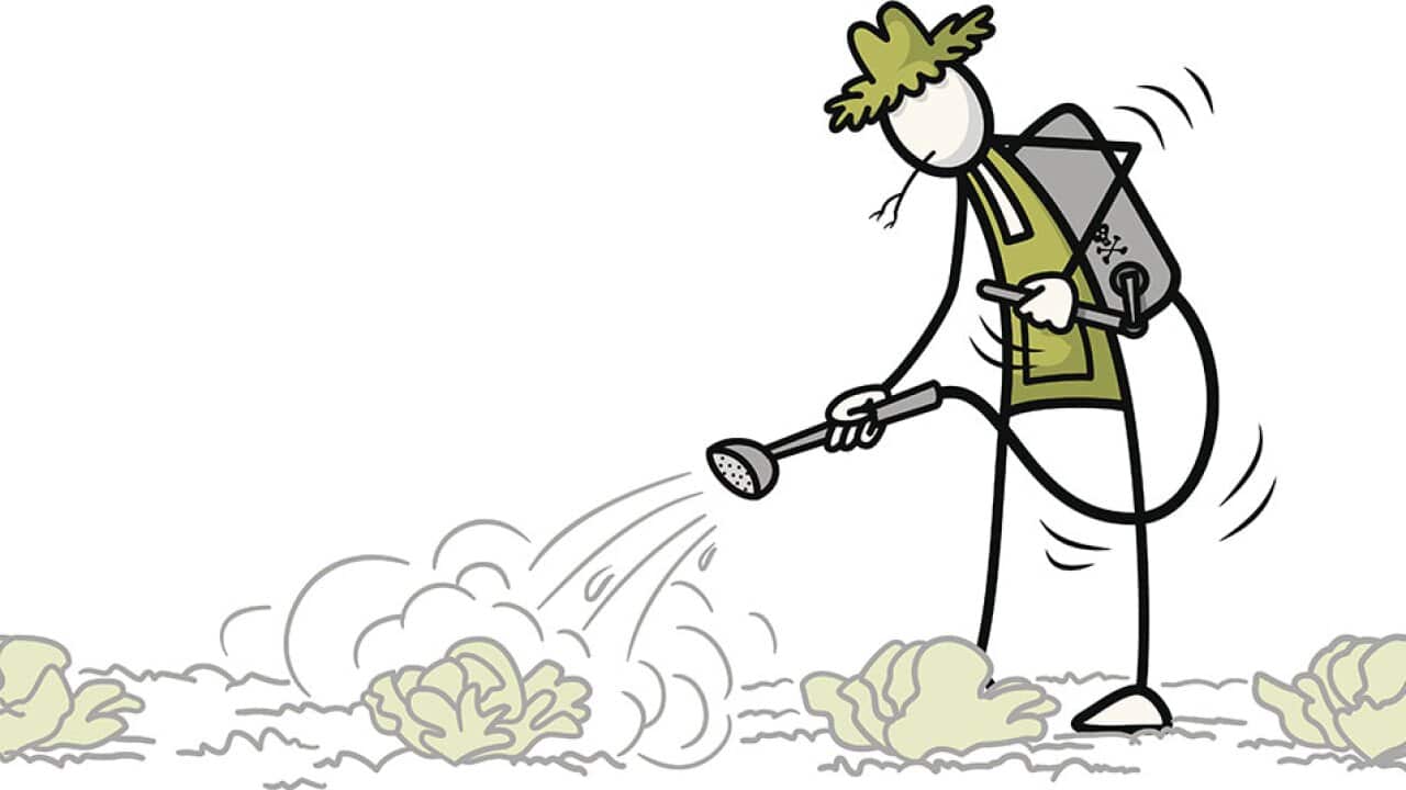 Pesticide