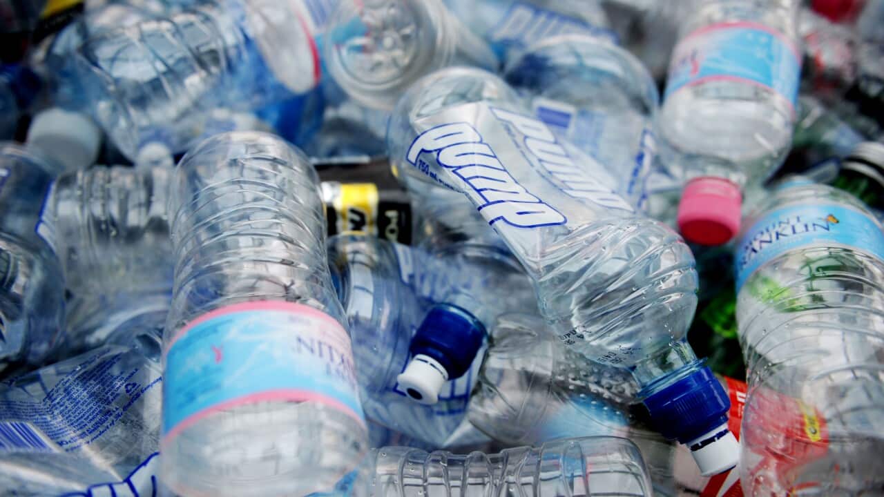 A pile of used plastic water bottles