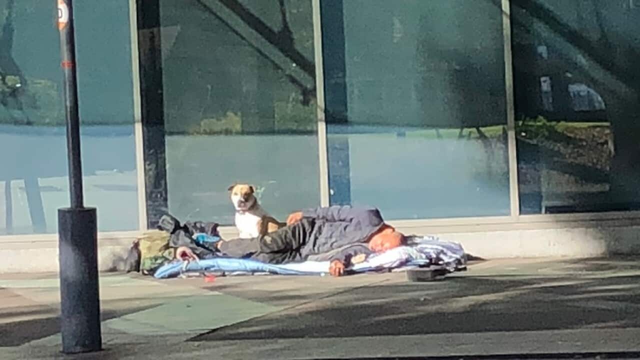 Homeless in Sydney