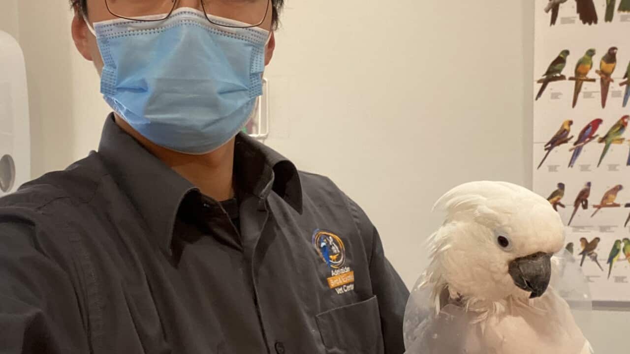 Image for read more article 'READ MORE'