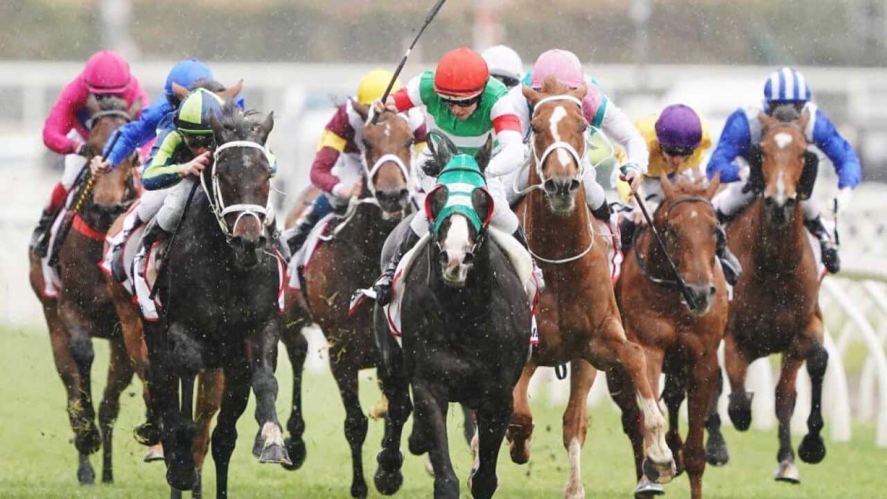 Melbourne Cup
