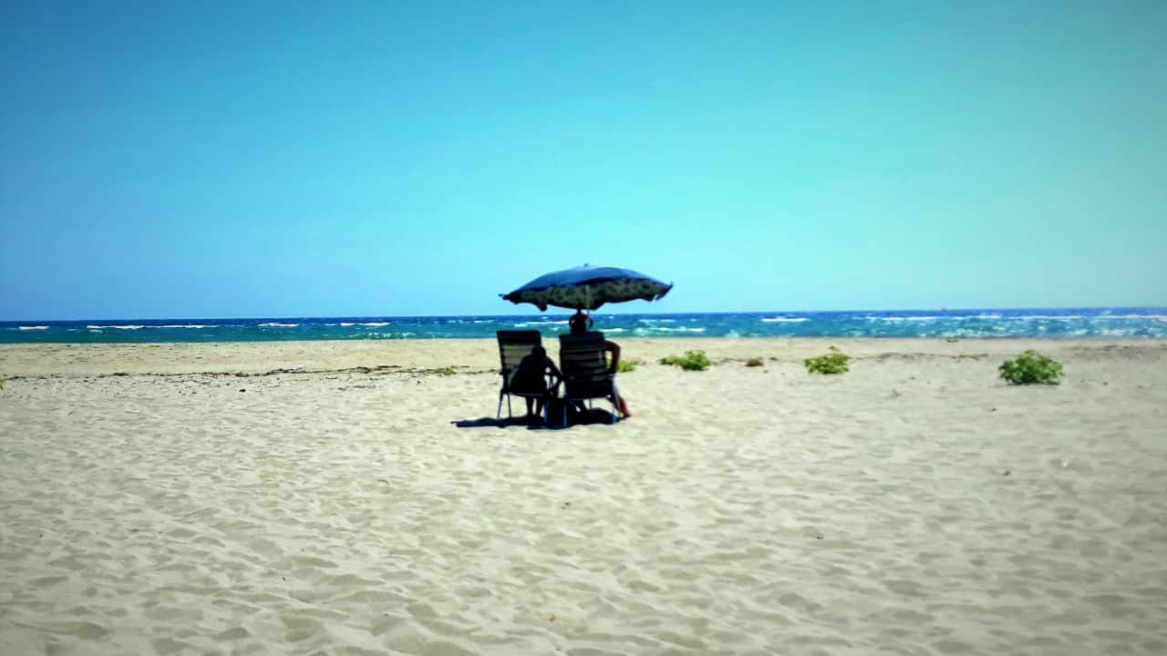 Image for read more article ''