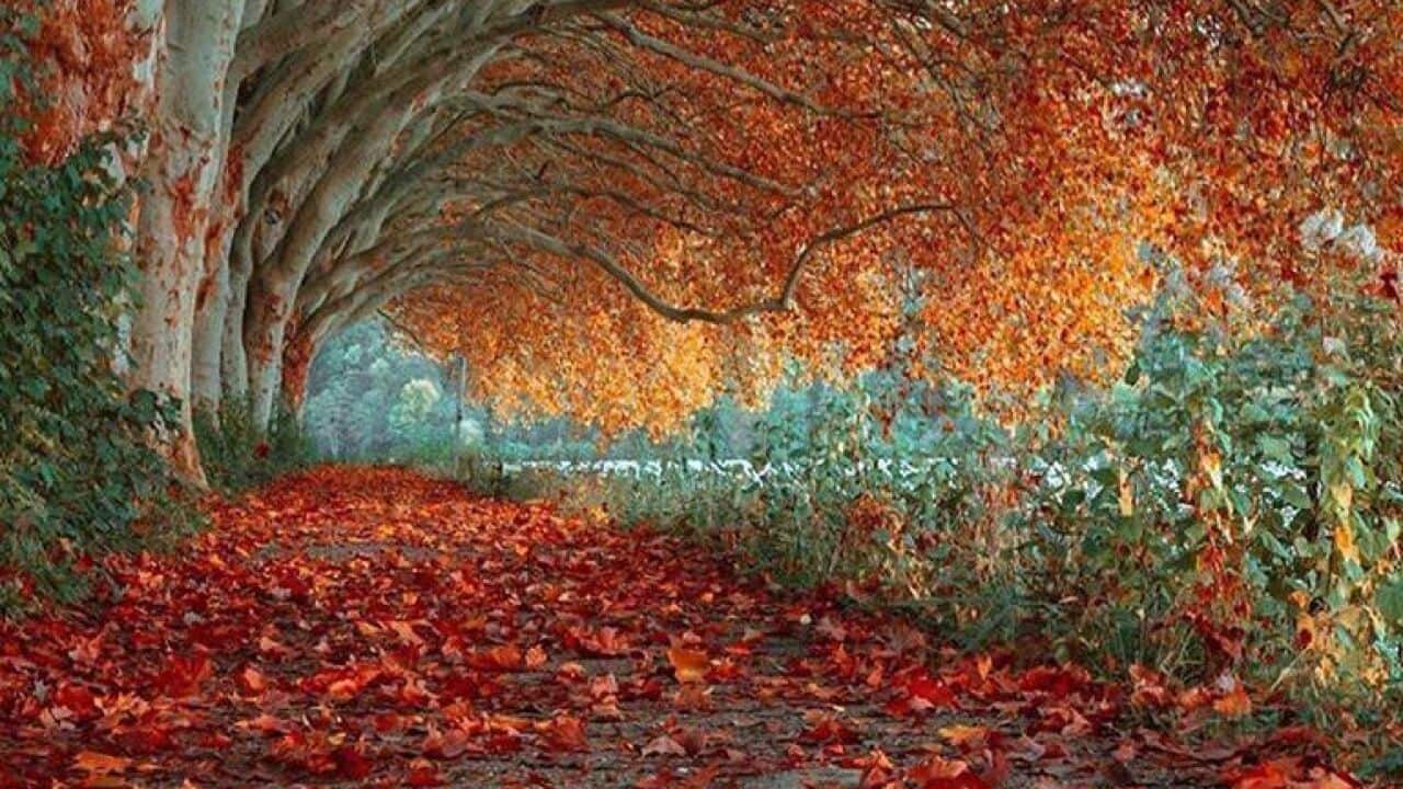 Image for read more article ''