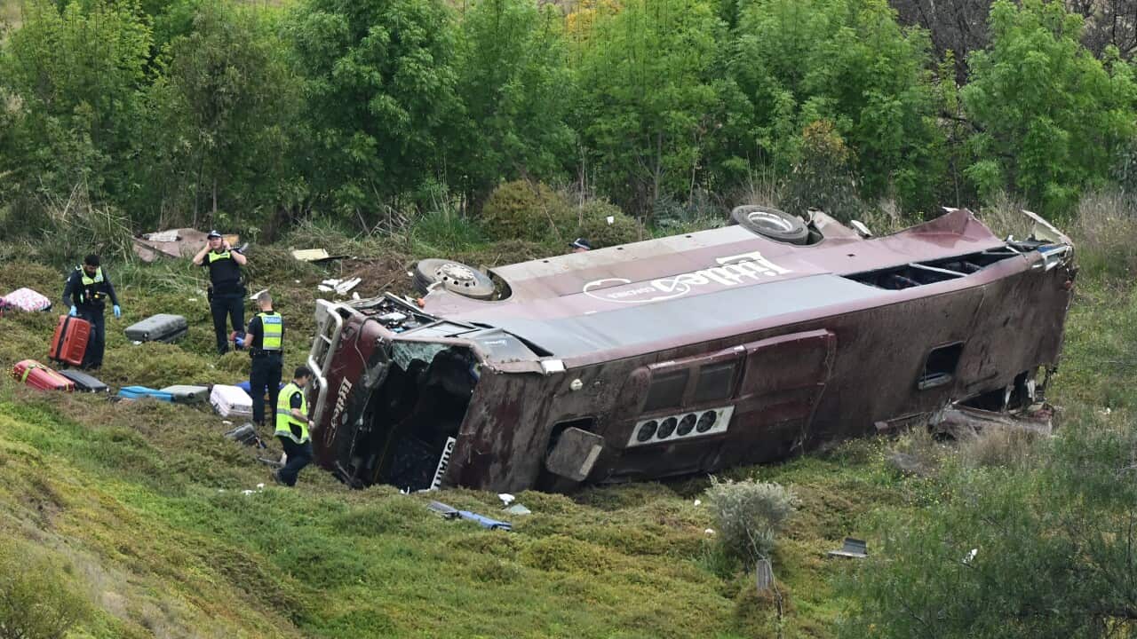 BUS CRASH MELBOURNE