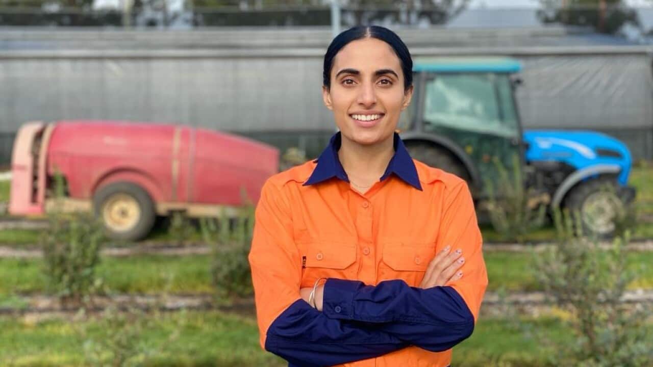 Image for read more article 'Also Read'