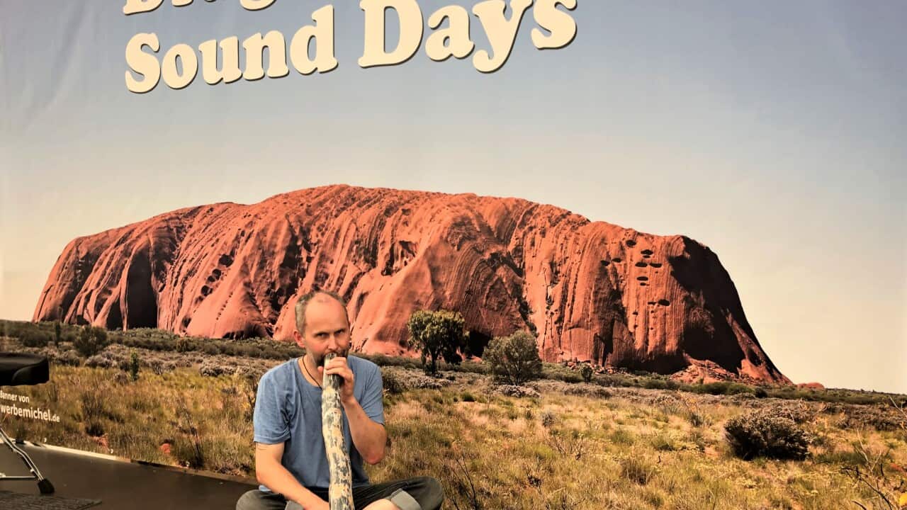 Salg Didgeridoo open edit.jpeg