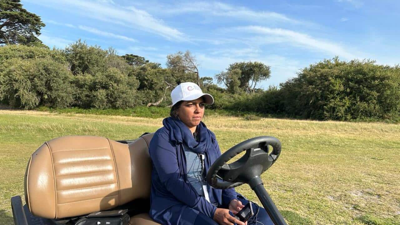 WhatsApp Image 2023-11-02 at 4.13.34 PM.jpeg