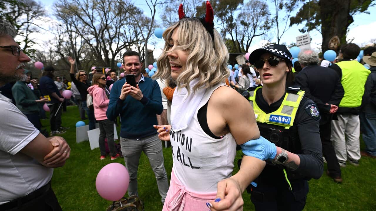 Image for read more article 'READ MORE'