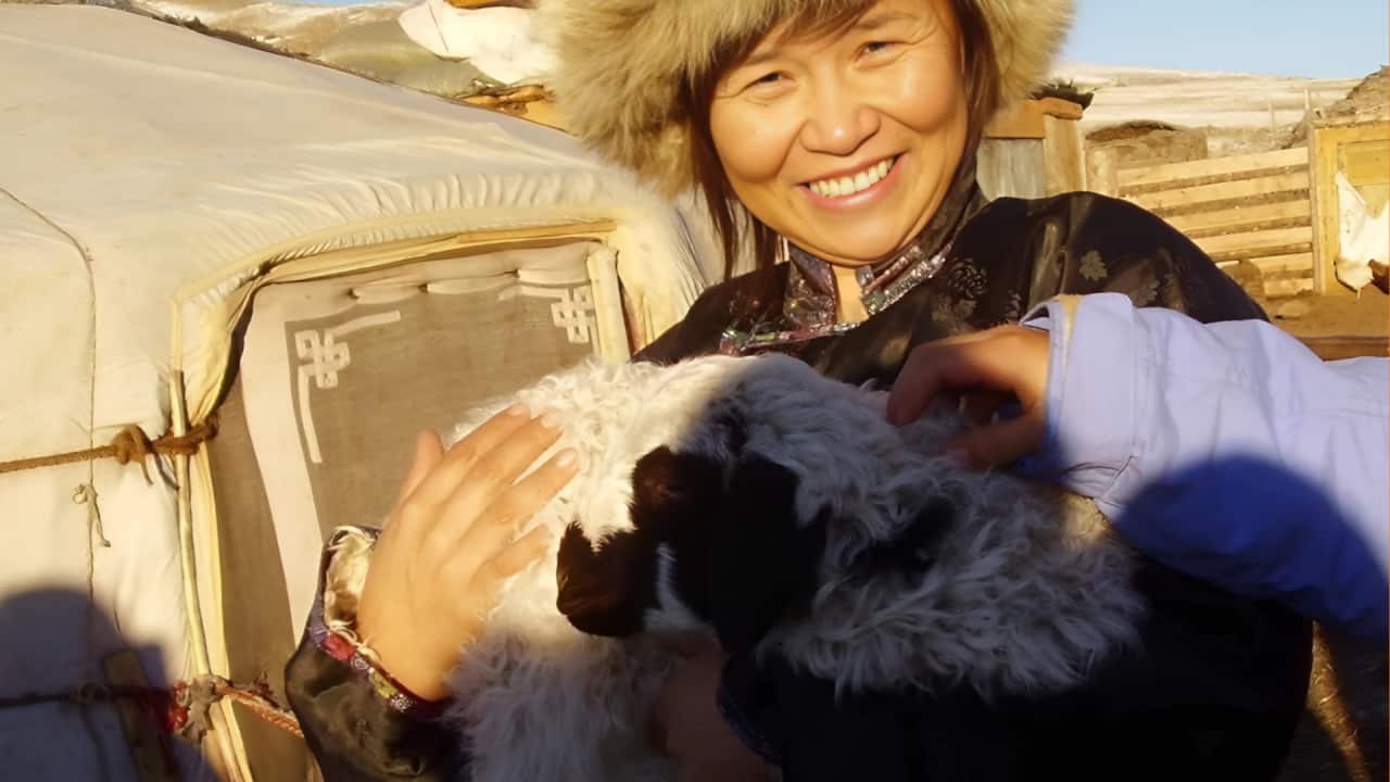 Copy of ALC Header Window Insert (1).png