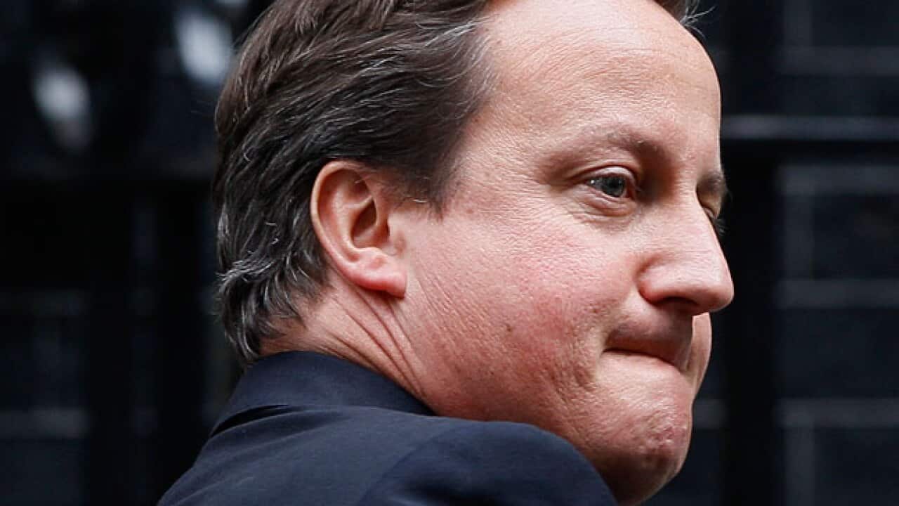 cameron2_notw_B_110721_aap_233009406