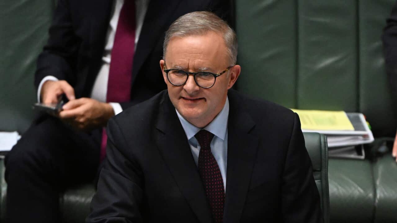 Antony Albanese during Question Time
