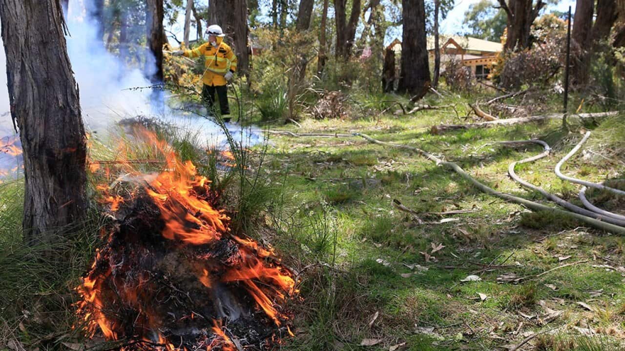 TOTAL FIRE BANS have been declared for 10 December 2022 in the Eastern Eyre Peninsula, Lower Eyre Peninsula, Mid North and Yorke Peninsula.