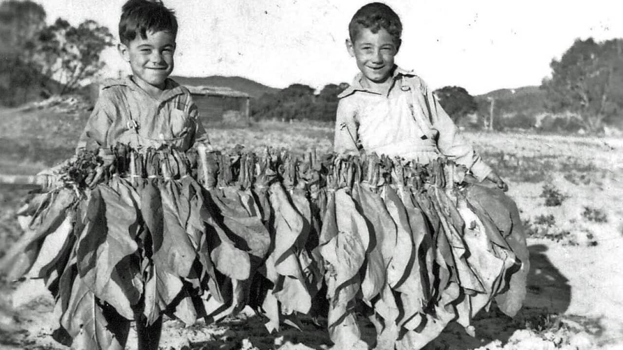 Image for read more article 'Potrebbe interessarti anche:'