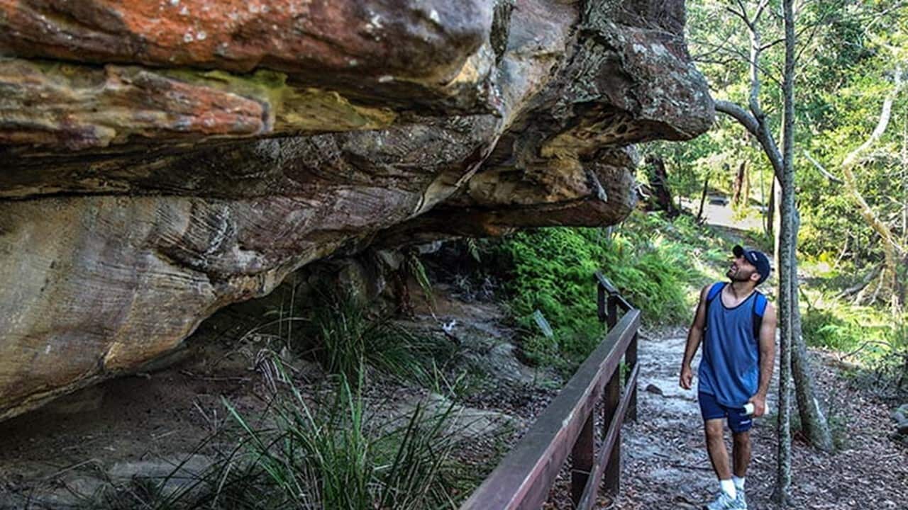 Ku-ring-gai National Park