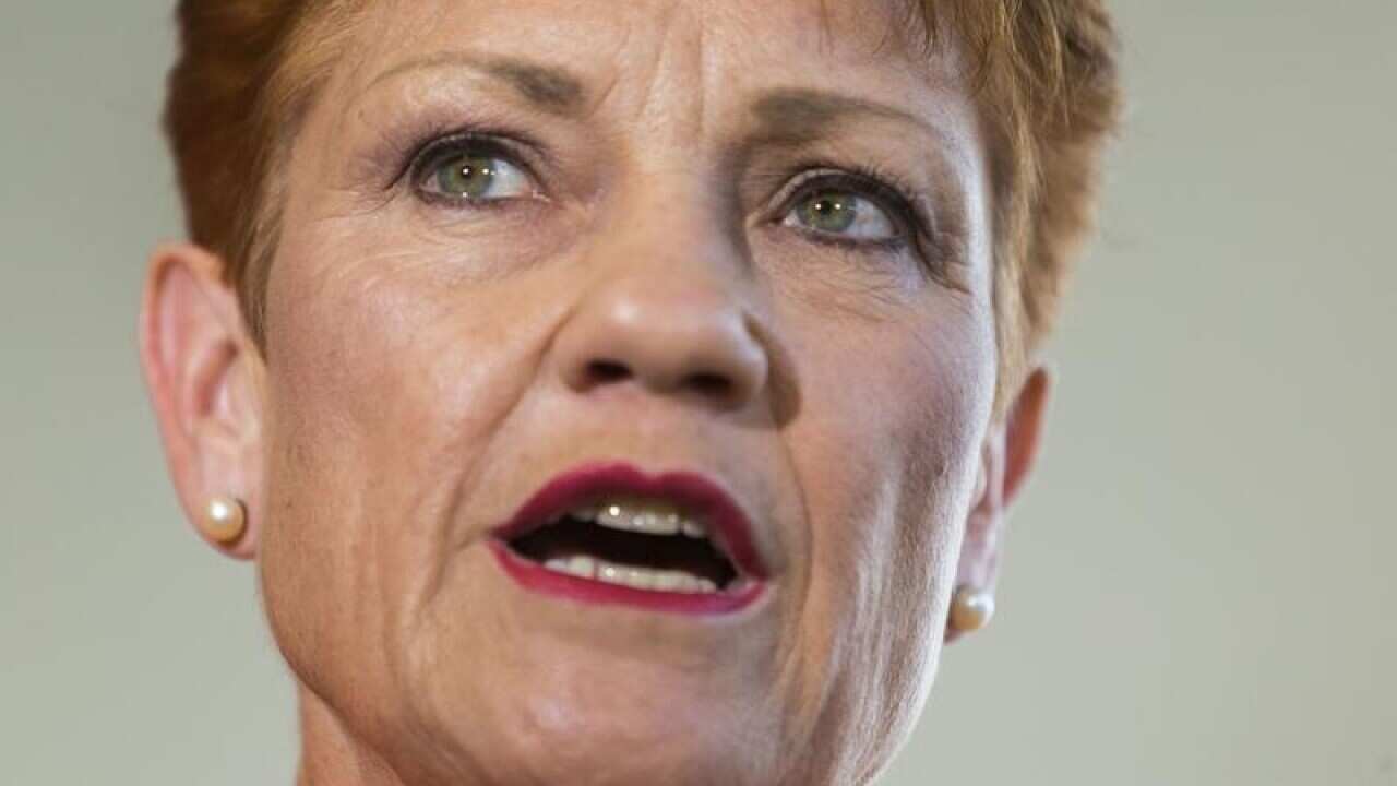 One Nation leader Pauline Hanson says she is Indigenous.