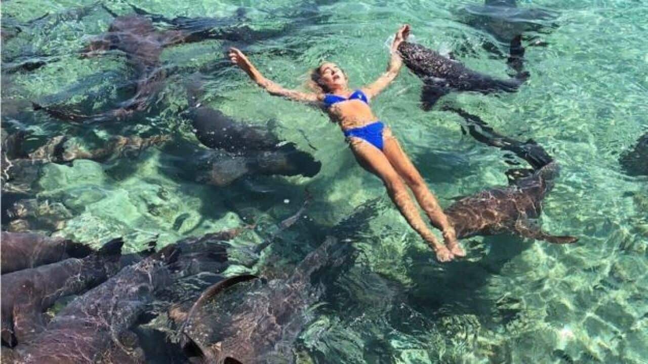 Katarina Zarutskie in the water with nurse sharks.