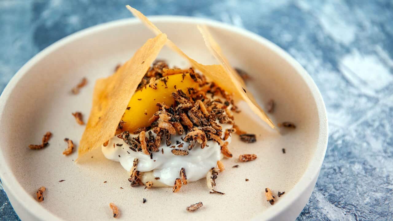 Image for read more article 'ALL THINGS DURIAN'