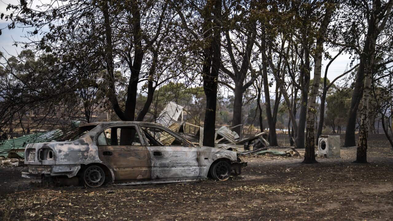 Victorian Bushfires in Australia - 10 Jan 2026