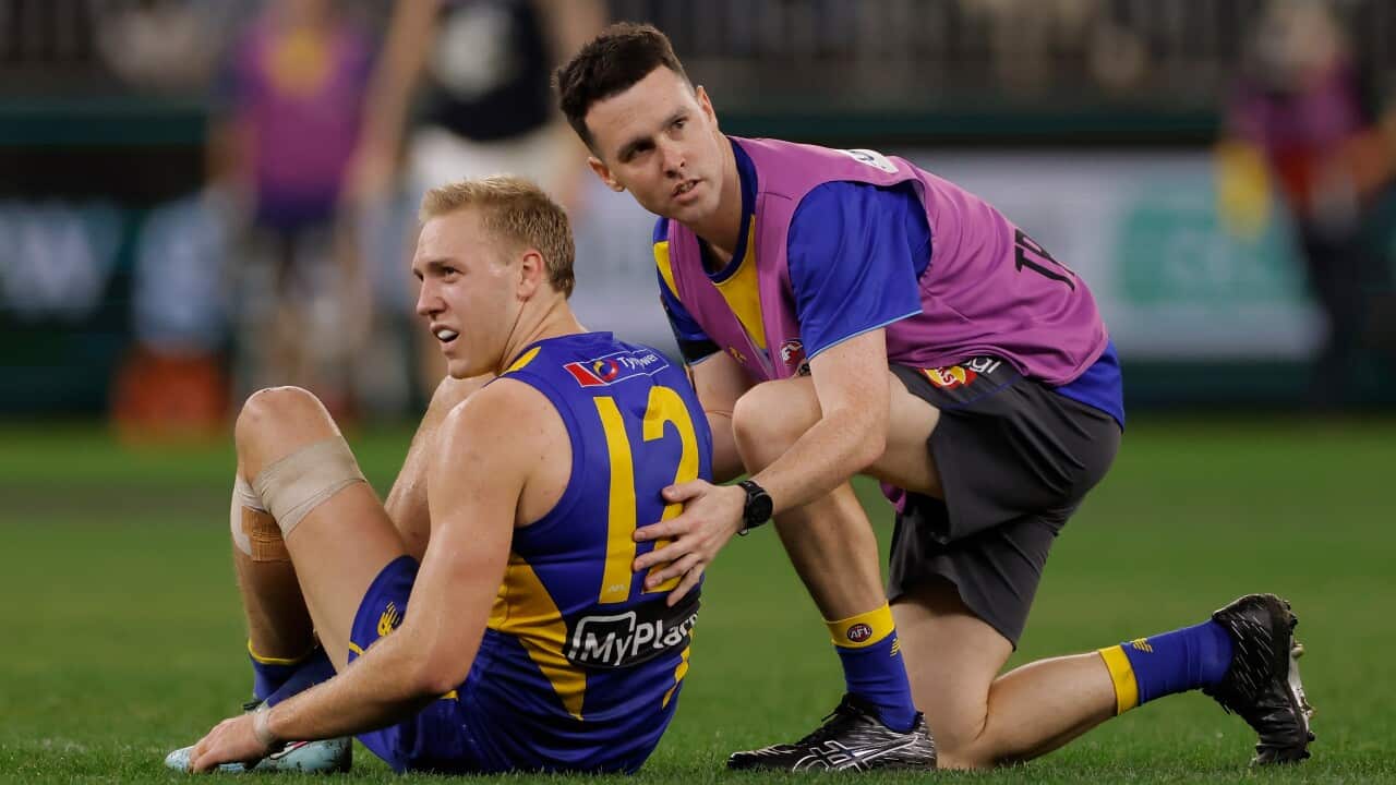 AFL EAGLES BLUES
