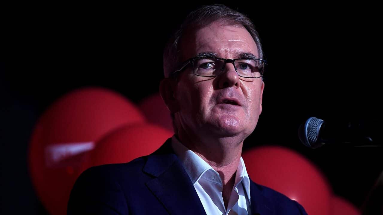 NSW Labor leader Michael Daley had a horror week in the final week of the campaign.
