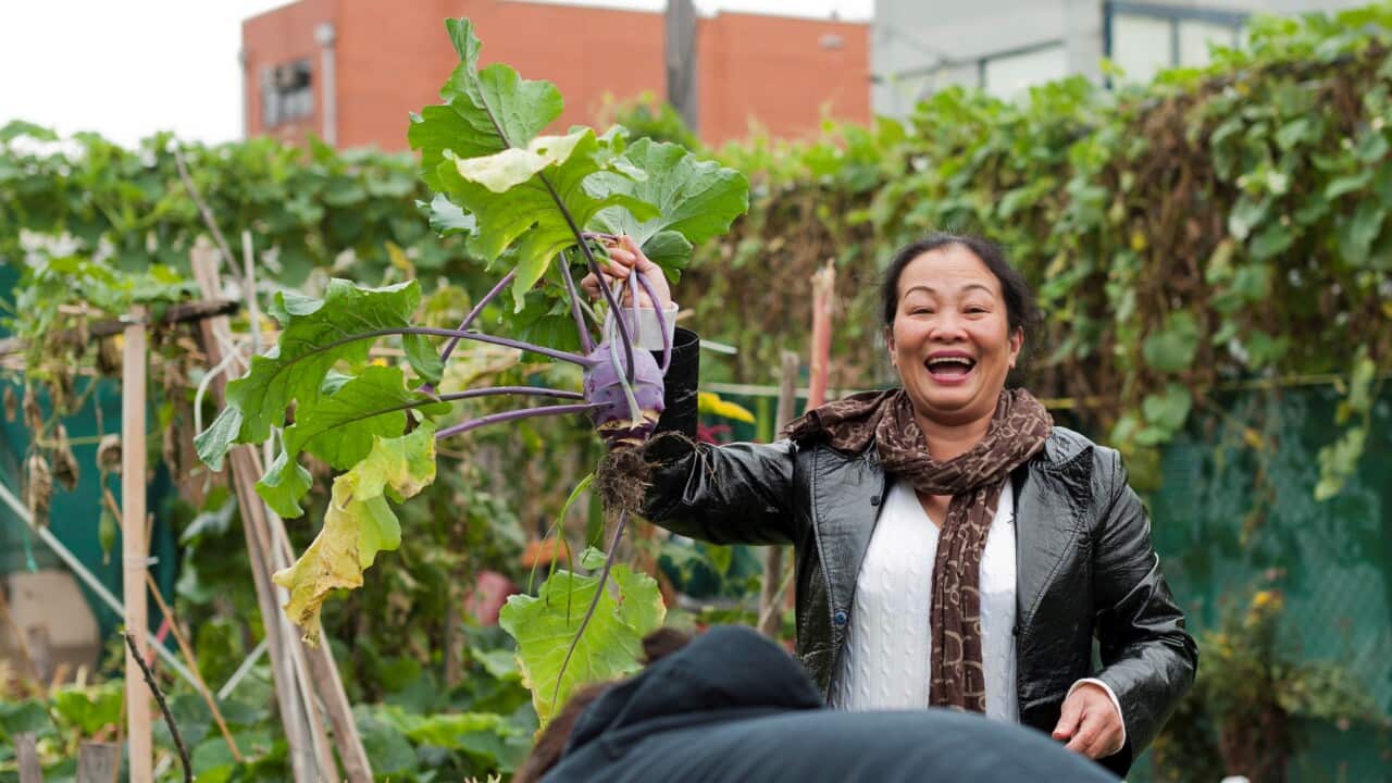 Image for read more article 'CULTIVATING COMMUNITY'