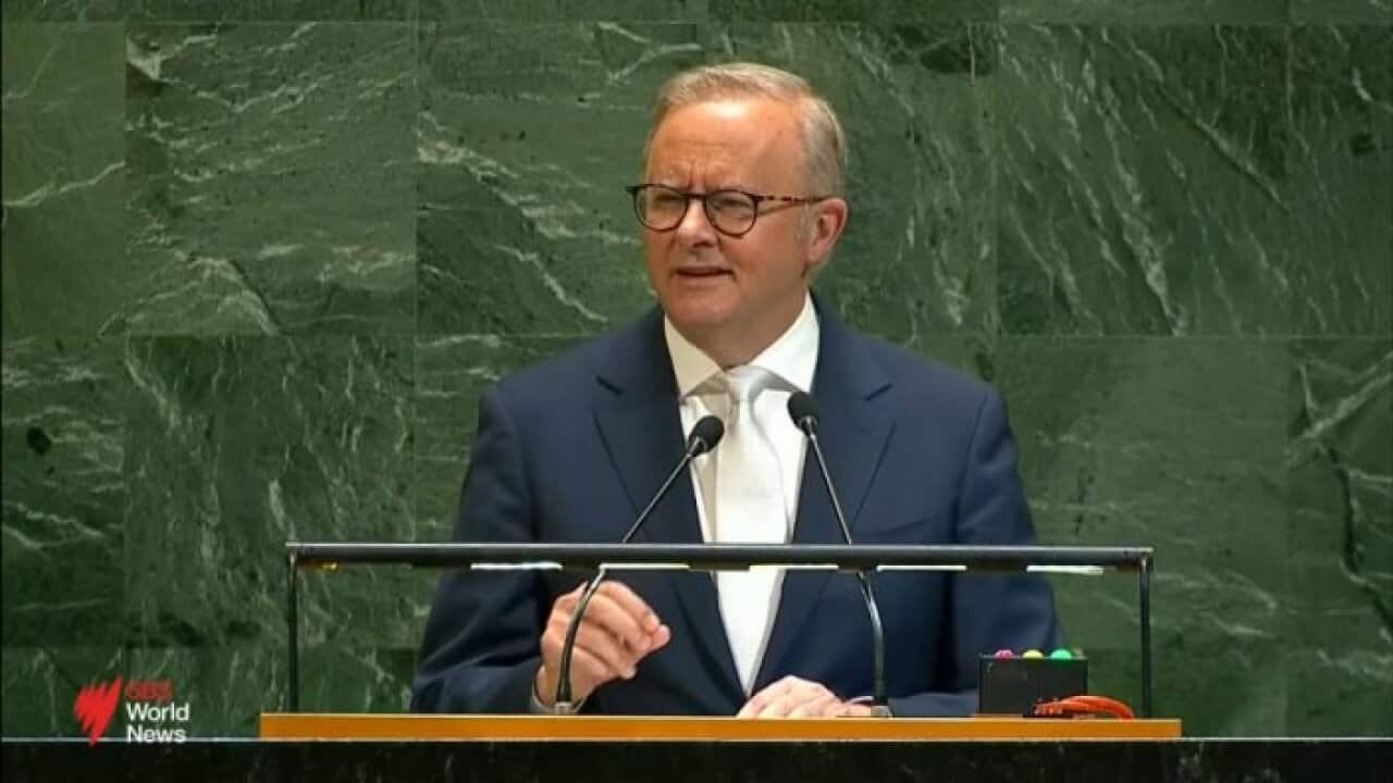 ALBO UN.jpg