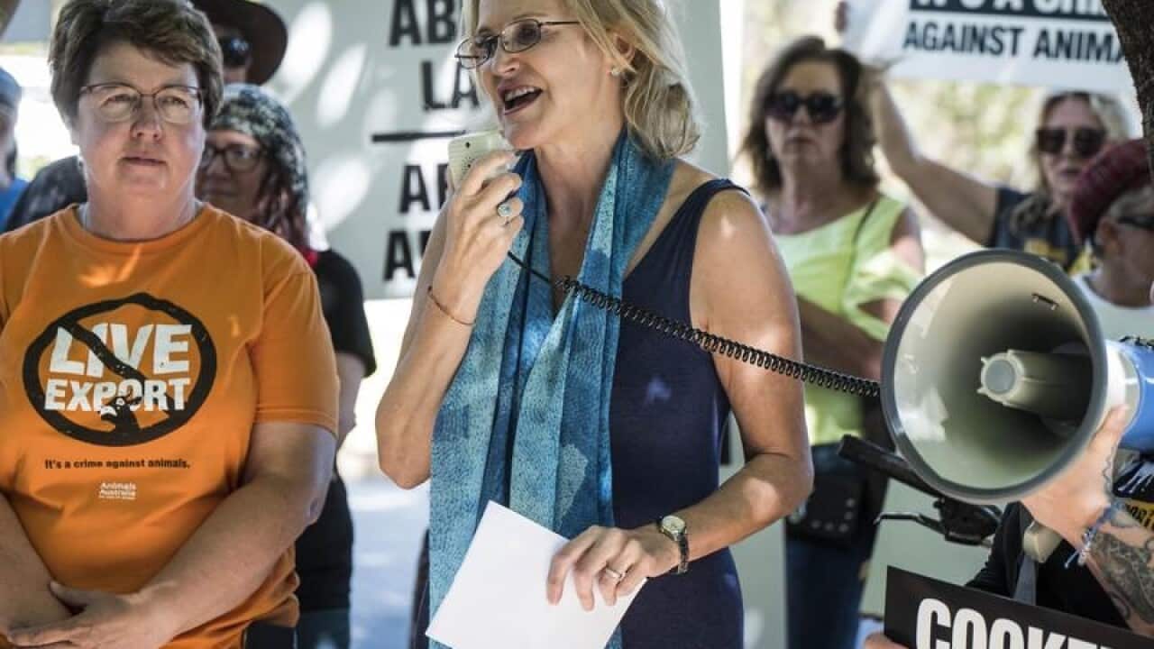 Ex-Labor MP Melissa Parke will stand in Julie Bishop's old seat.