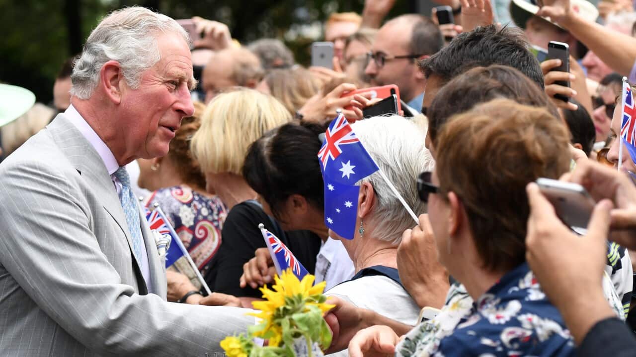 Image for read more article ''