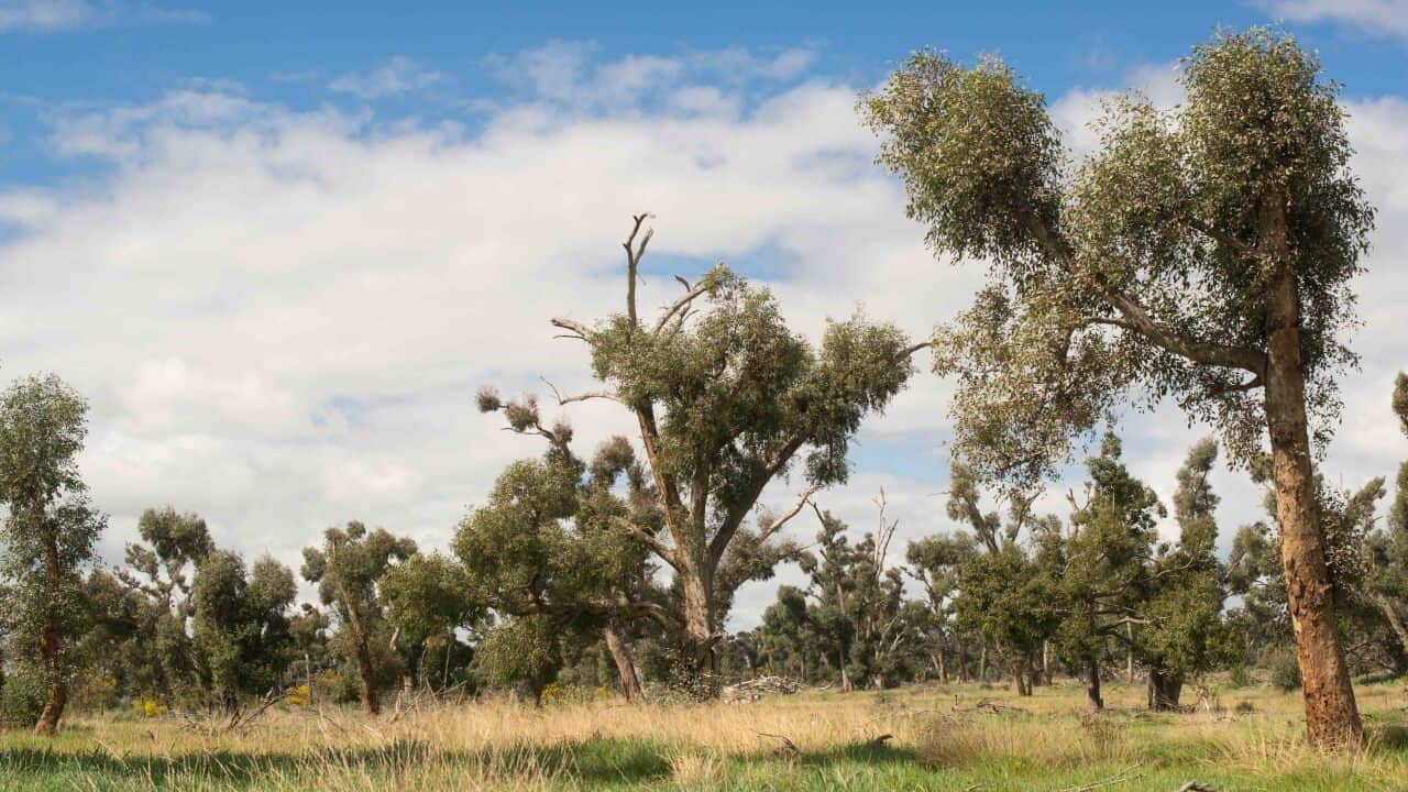 Image for read more article 'Δείτε ακόμη'