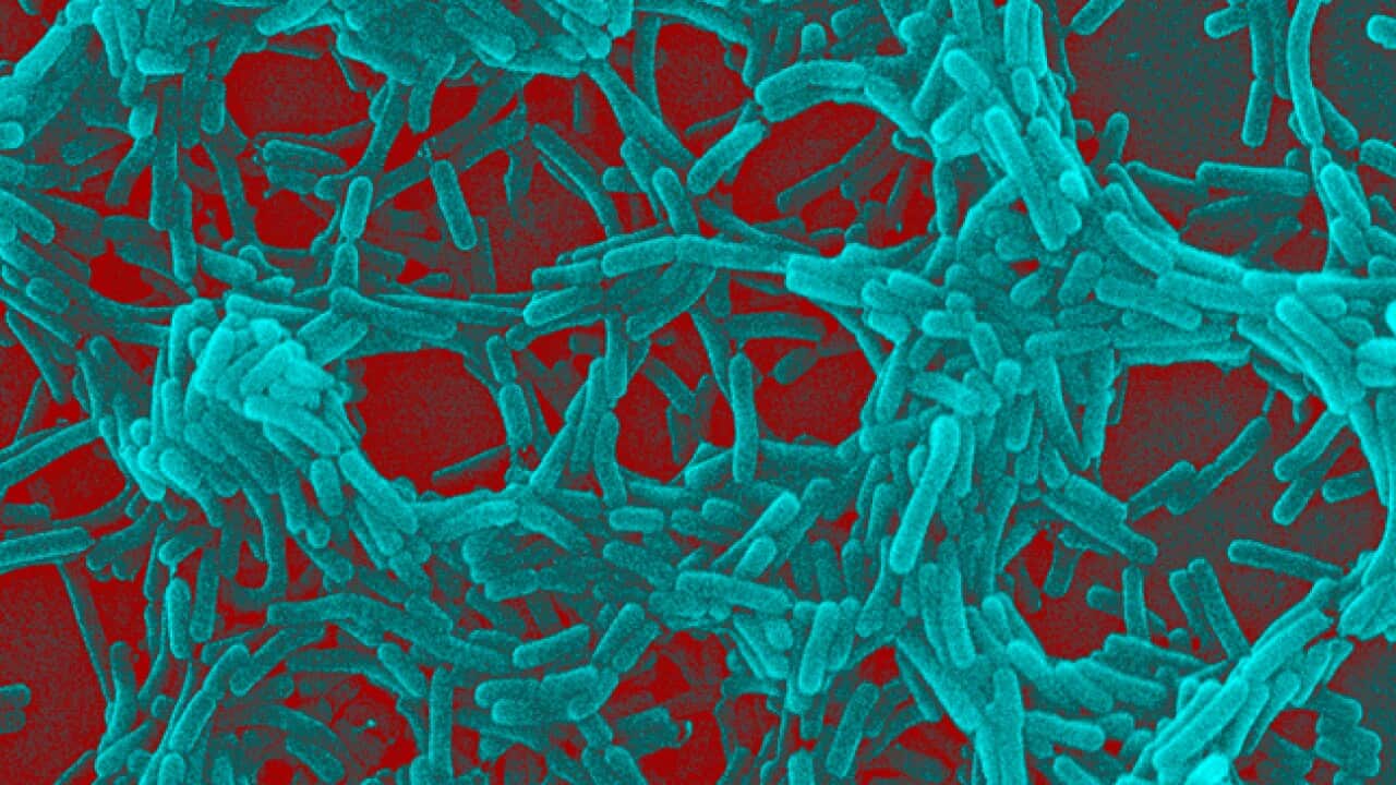 Bacteria_microscope_generic_B_110927_AAP_8933563