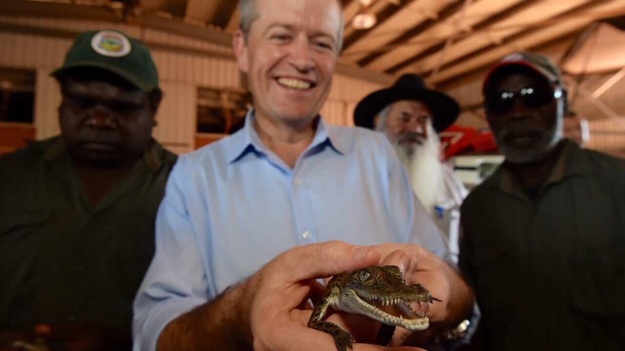 Leader of the Opposition Bill Shorten