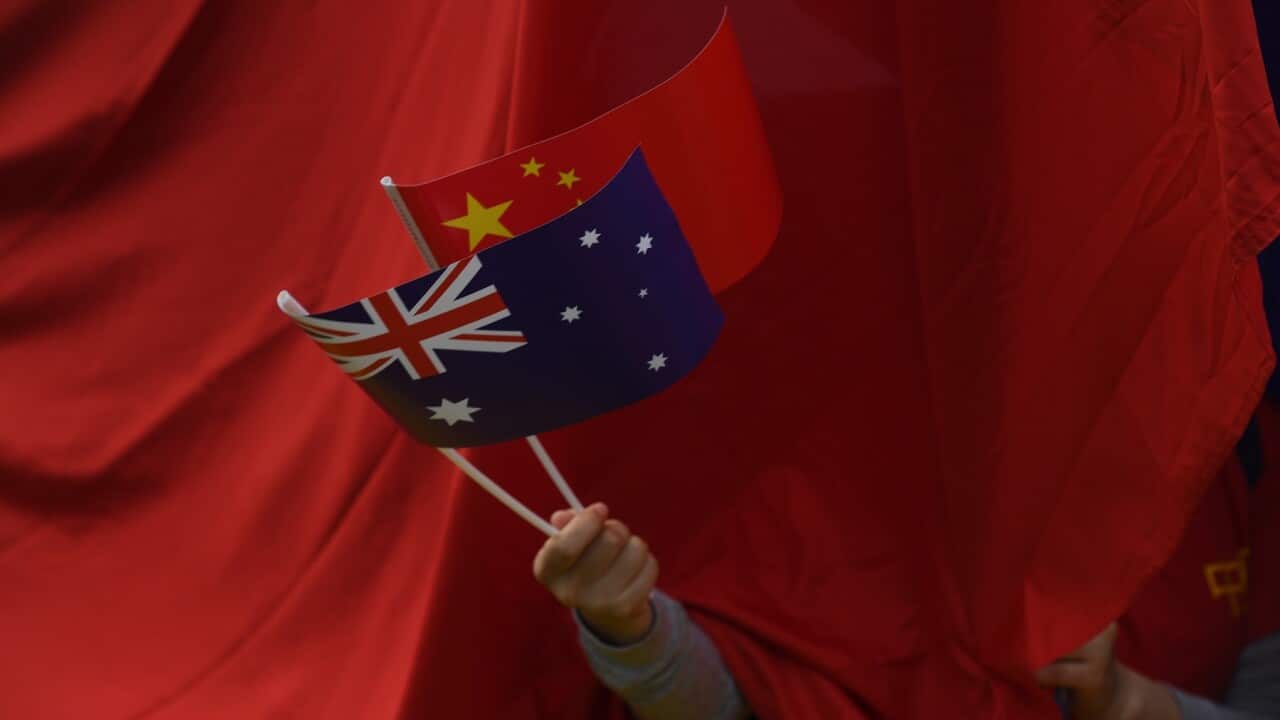 Supporters wave flags during the visit of Li Keqiang