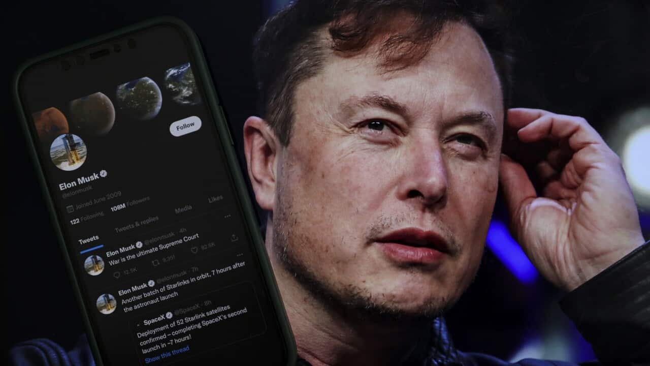 Elon Musk now owns Twitter. What will the social media platform look like  under his reign? | SBS News