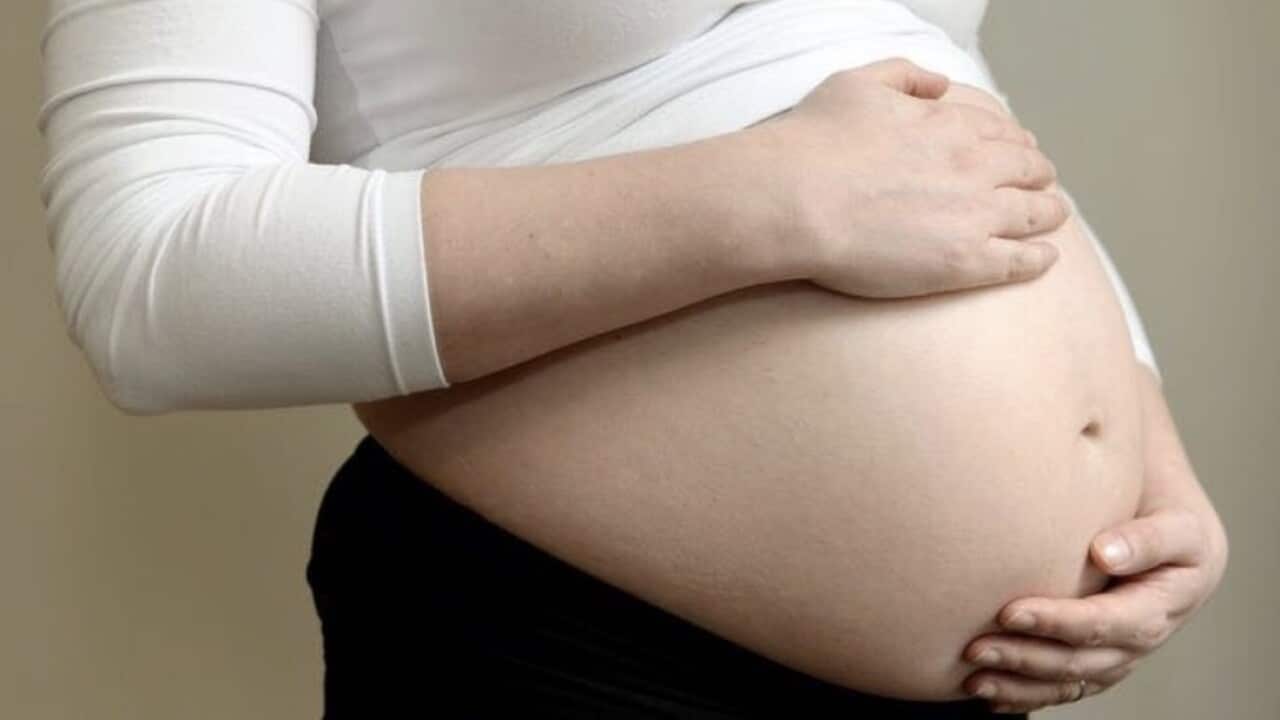 Fertility