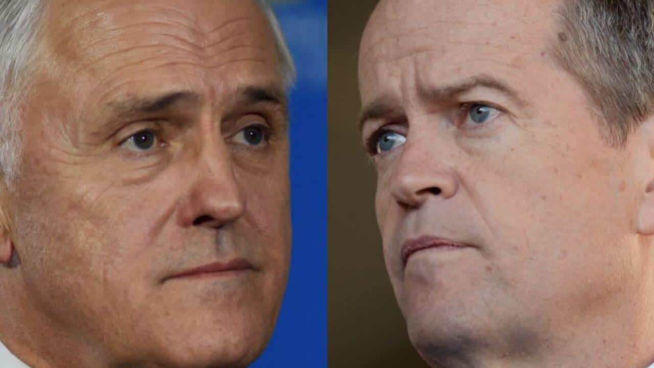 Bill Shorten and Malcolm Turnbull