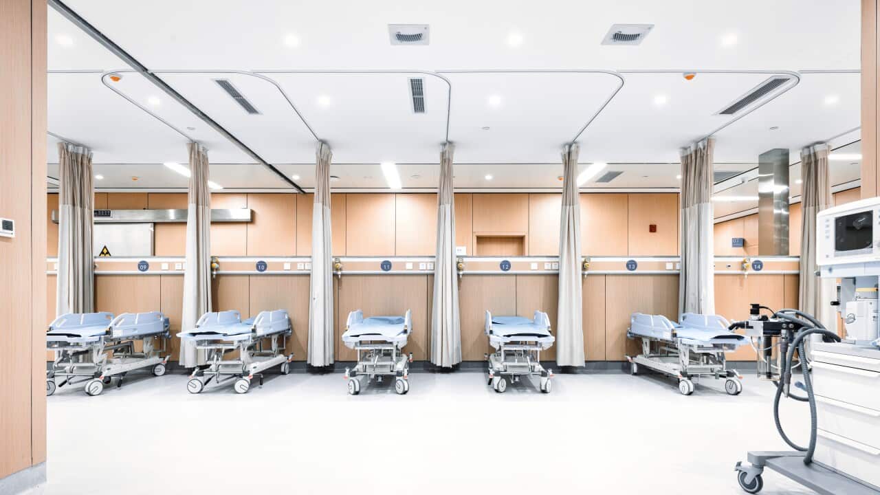 A bright, modern hospital room features a row of six empty medical stretchers separated by privacy curtains. The room has light wood-panelled walls and a white floor, with medical equipment visible on a rolling cart in the foreground.