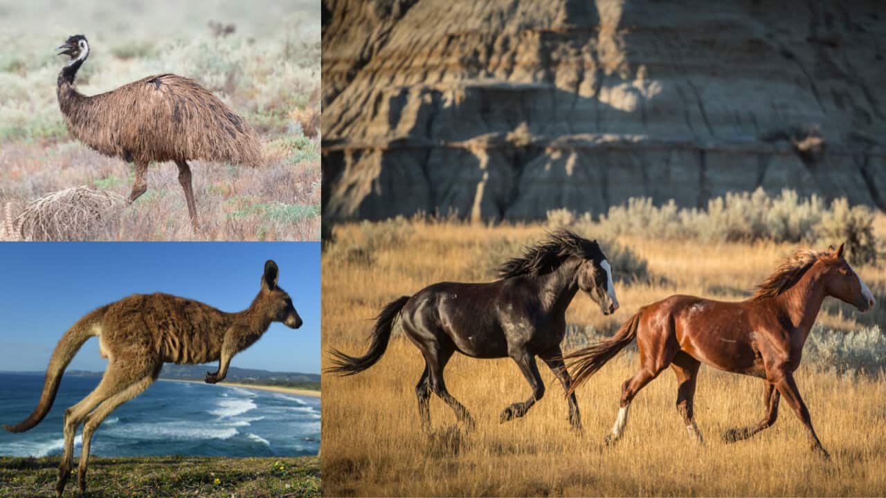 Untitled design (6) 1.png