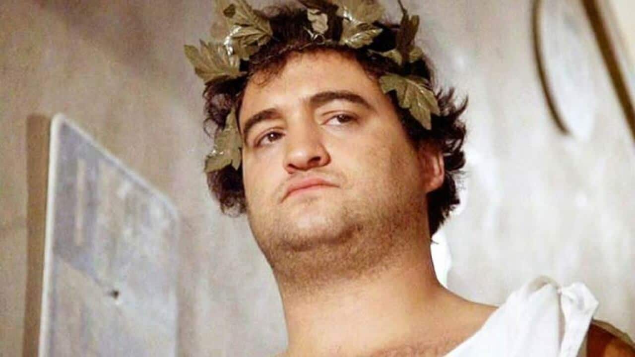 Animal House