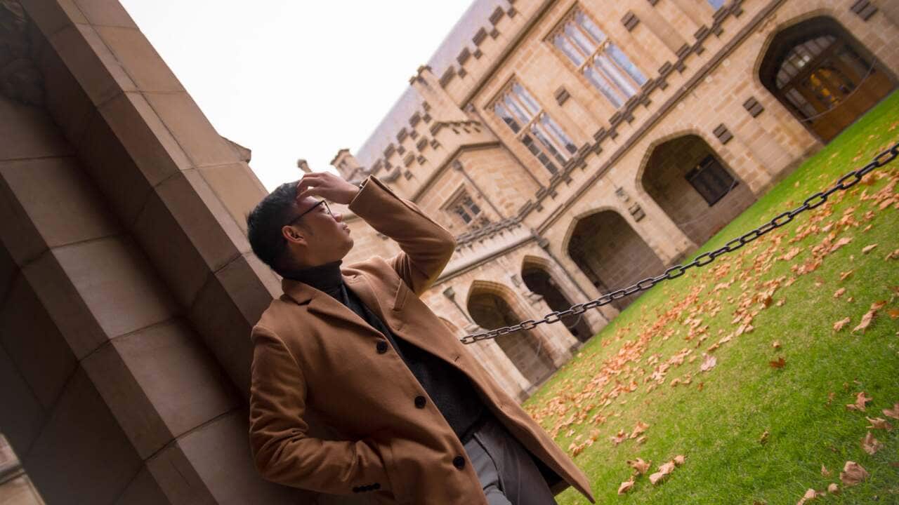 online courses, covid-19. pandemic, study online