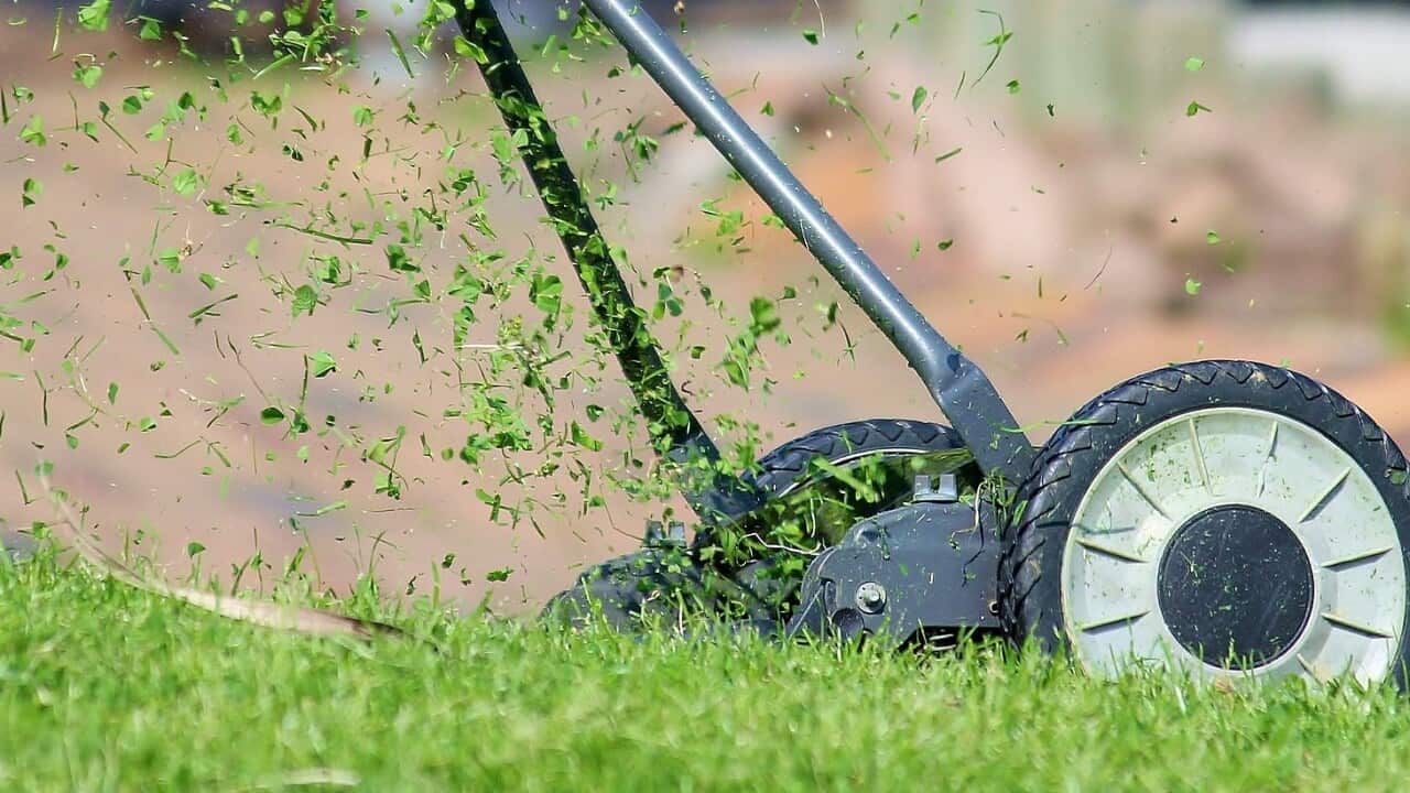 How do I properly maintain my lawn in summer?