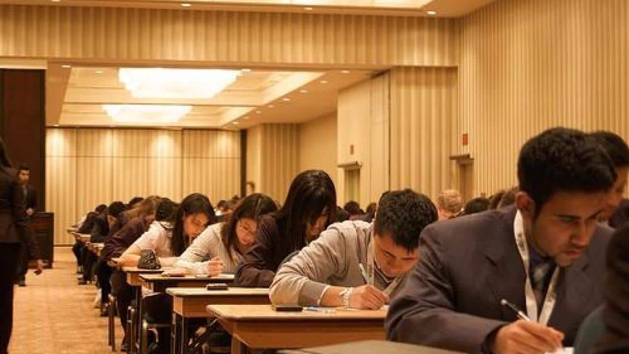 爱尔兰兽医母语英文，移民澳洲竟然口语考不过| SBS Chinese