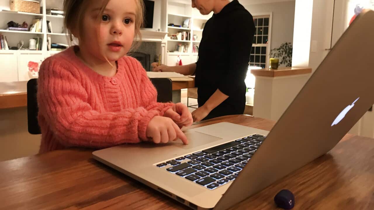 A three year old girl playing on an computer.
