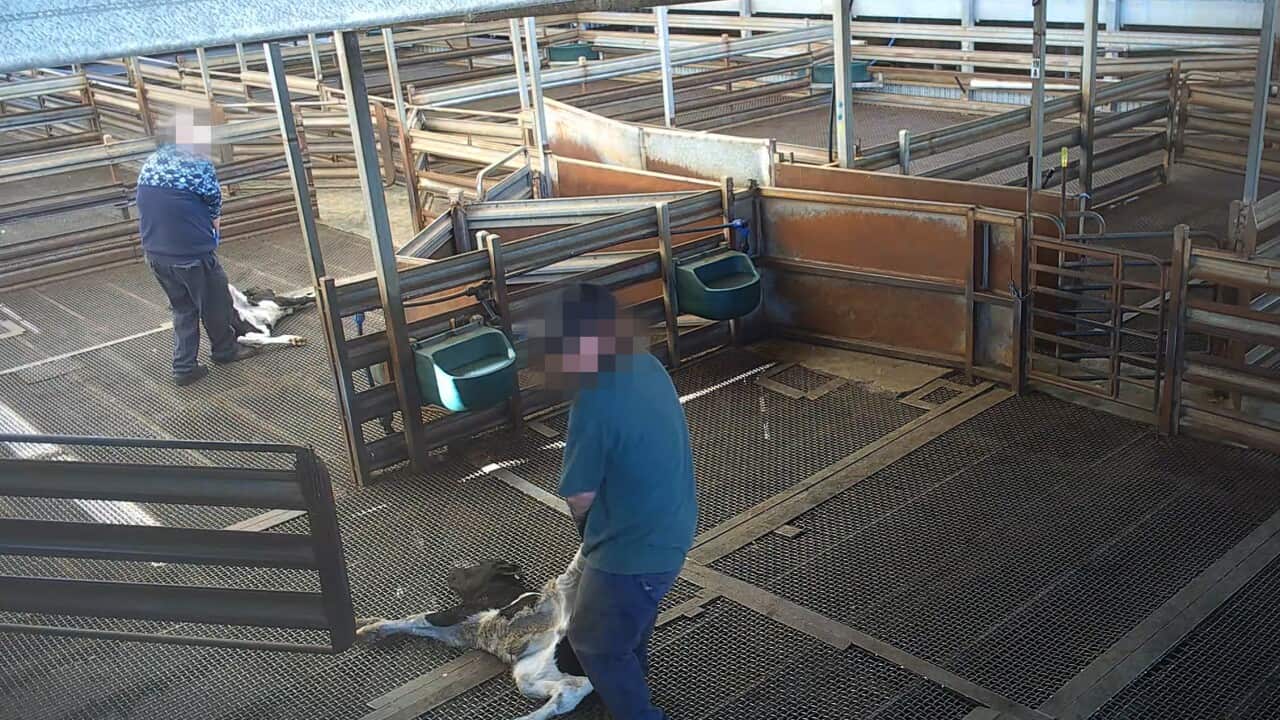 Image for read more article '更多內容'