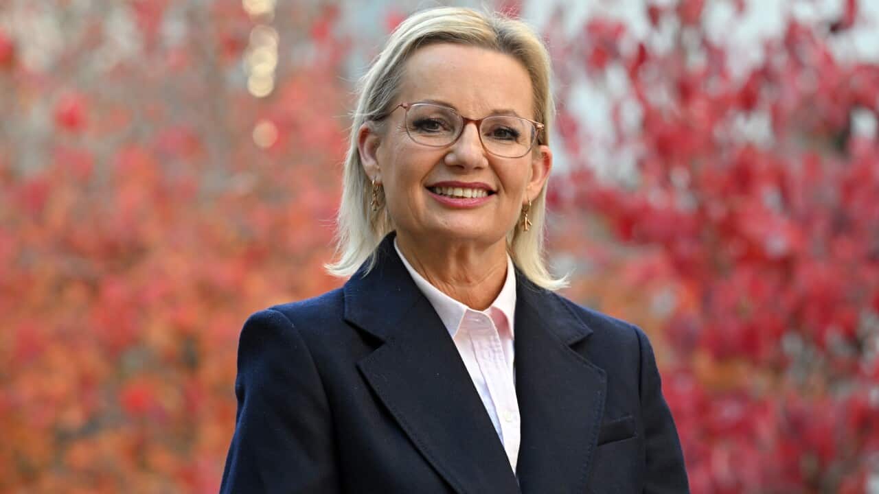 SUSSAN LEY PORTRAIT