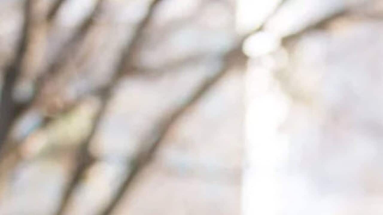 Image for read more article ''