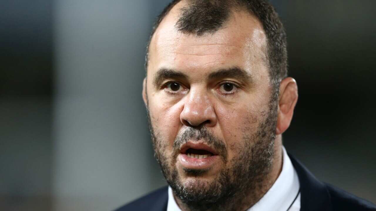 Head coach Michael Cheika