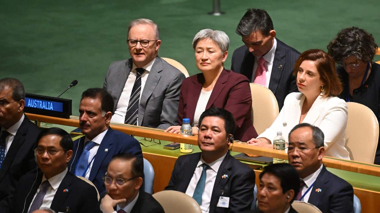 ANTHONY ALBANESE UNITED NATIONS